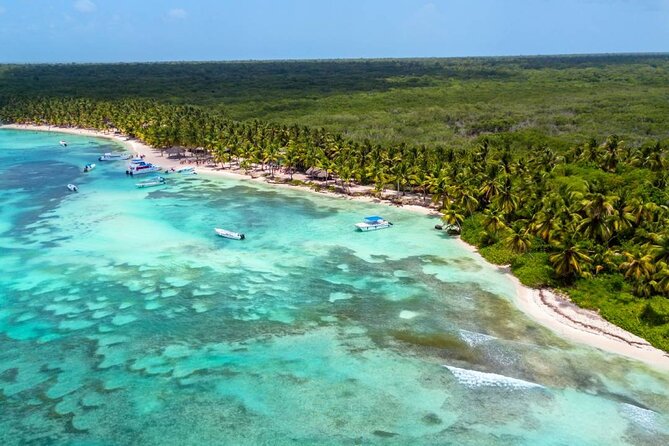 Saône Deluxe Platinum Island - Gourmet lunch and open bar: what you actually get to eat