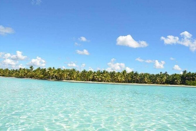 Saône Deluxe Platinum Island - Isla Saona and Cotubanamá National Park: your 4-hour beach reset
