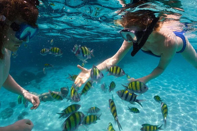 Scape Park Sunshine Cruise at Cap Cana - Where it really starts: Cap Cana marina and an afternoon sea mood