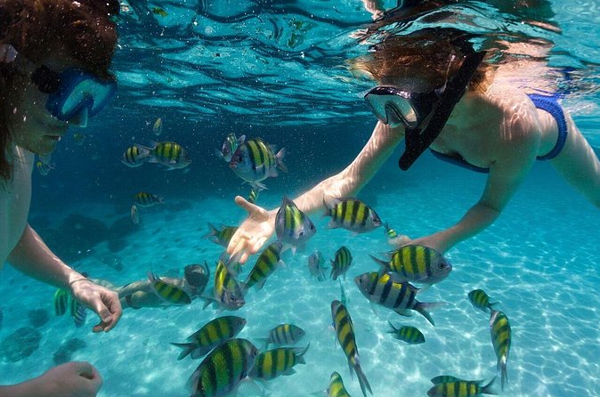 Scape Park Sunshine Cruise at Cap Cana - The catamaran vibe: double-deck views and an open bar that sets the tone