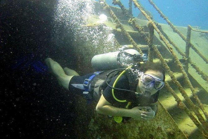 Scuba Diving at Catalina Island - 2 tank | 2 spots - Key highlights you should know first