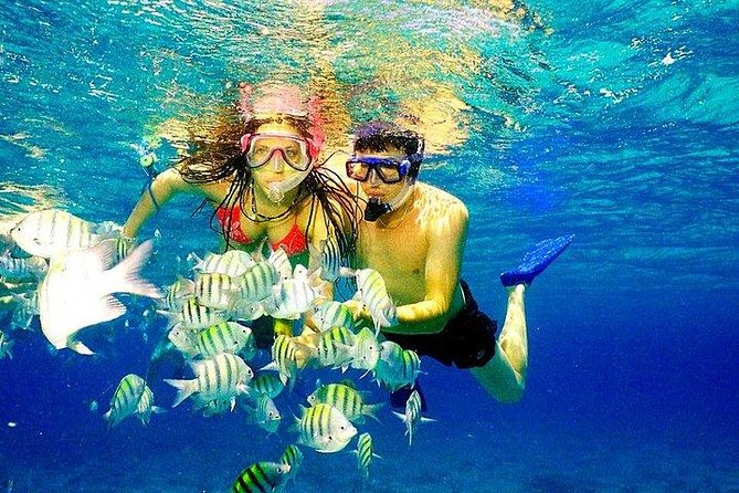 Scuba Diving at Catalina Island - 2 tank | 2 spots - Cataline Island, Punta Cana style: why this tour makes sense