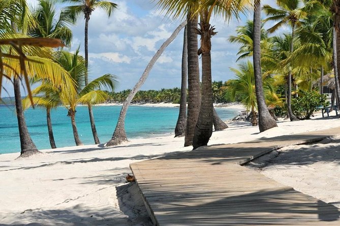 Scuba Diving at Catalina Island - 2 tank | 2 spots - Punta Cana transportation: pickup is offered, but chaos is possible