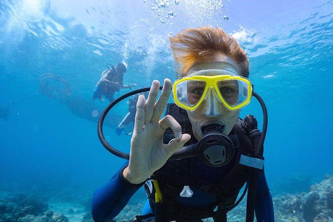 Scuba Diving at Catalina Island - 2 tank - for Certified Divers - Key takeaways before you go