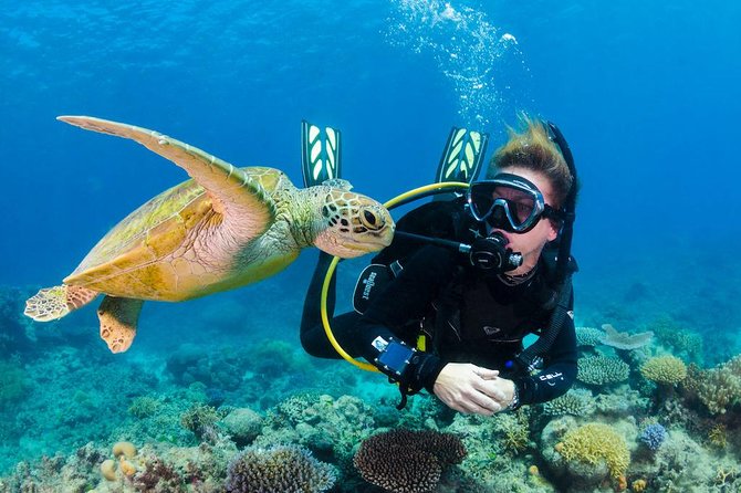 Scuba Diving on Catalina Island | 2 tanks, 2 spots - Key highlights worth choosing this day trip for