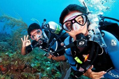 Scuba Diving on Catalina Island | 2 tanks, 2 spots - Getting moving at 7:30 am: pickup, timing, and how the group size affects your day