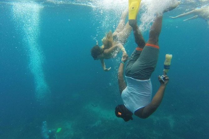 Scuba Diving on Catalina Island | 2 tanks, 2 spots - What to bring (and what to expect) so your morning goes smoothly