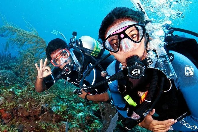 Scuba Diving on Catalina Island | 2 tanks, 2 spots - Getting moving at 7:30 am: pickup, timing, and how the group size affects your day