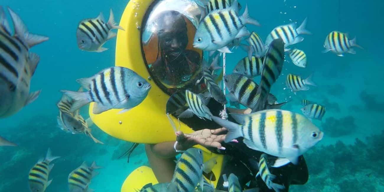 Scubadoo Punta Cana Diving Adventure - Scubadoo in Punta Cana: what the $59 buys you