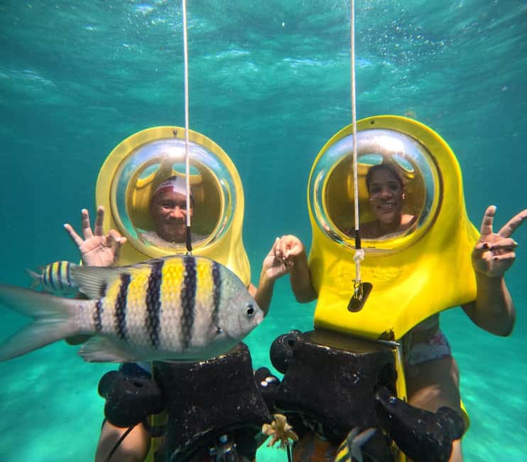 Scubadoo Punta Cana Diving Adventure - What you’ll see: marine life without the guesswork