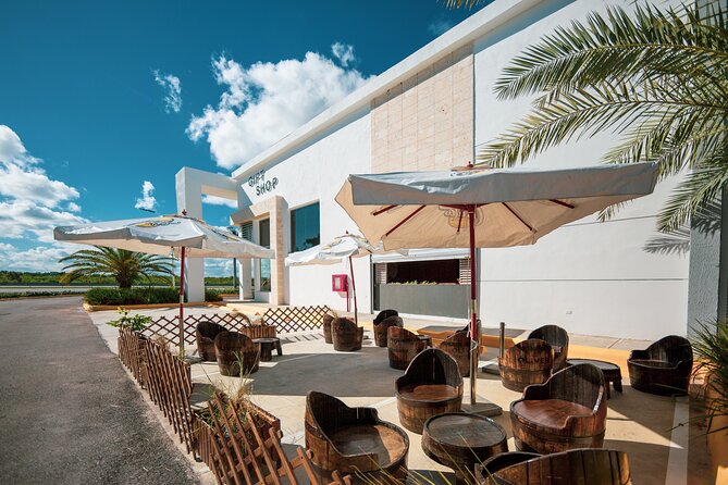 Shopping Tour in Punta Cana with Round Trip Transportation - Tasting cigars and rum: how to shop with confidence