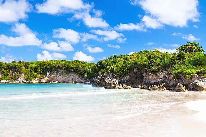 Small Group: Half-Day Cultural Tour of Punta Cana - Punta Cana’s Culture Shortcut: Why This Tour Works