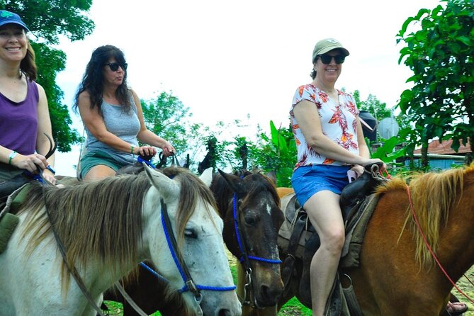 Small Group: Half Day Punta Cana Cultural Tour - Stop 1: A La Altagracia Province ranch horseback ride
