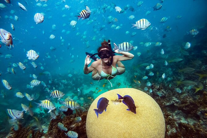 Snorkeling and Swimming on a Caribbean Cruise by Sharky Catamarans - Food and drinks: why the on-water meal is a big deal