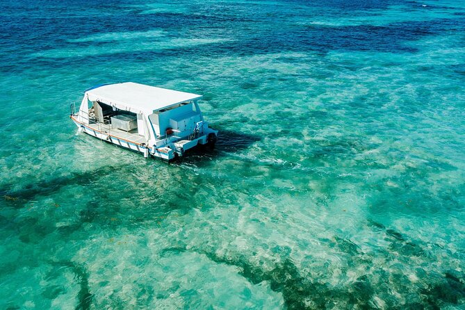 Snorkeling and Swimming on a Caribbean Cruise by Sharky Catamarans - Price and value: is $118 per person fair?