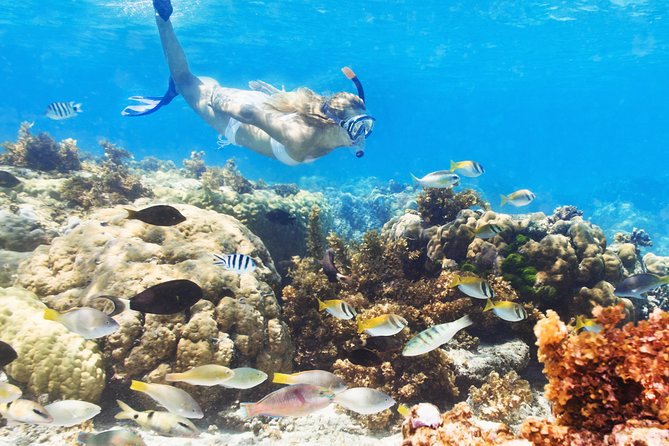 Snuba Snorkelking Parasailing and Catamaran Pack - Key things to know before you go