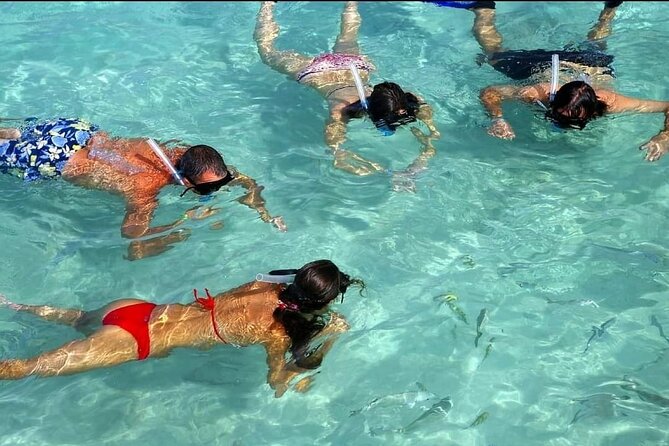 Speed Boat Ride and Snorkel Experience in Punta Cana - Pickup, Transport, and Small Group Size