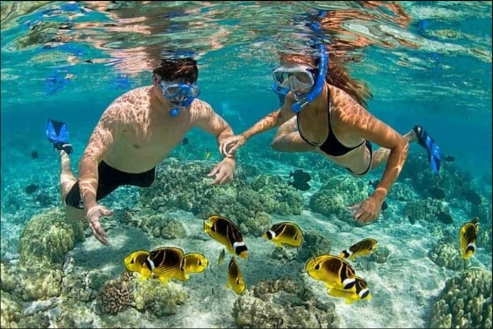 Speedboat Adventure and Snorkeling from Punta Cana - Reef snorkeling stop: Getting close to coral and fish