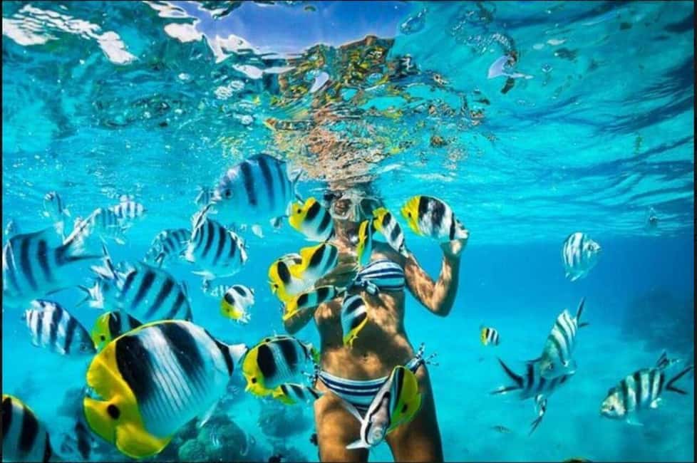 Speedboat Adventure and Snorkeling from Punta Cana - The “how long is it?” question: Value for $80 and timing expectations