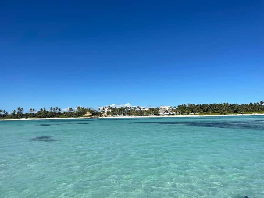 Speedboat Adventure: Exhilarating Experience in Punta Cana - Dolphins From the Boat: Backflips and Moonwalks