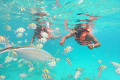 Speedboat Adventure to Snorkeling Spot and Natural Pool - Snorkeling stop: coral reef fish, about 30 minutes in the water