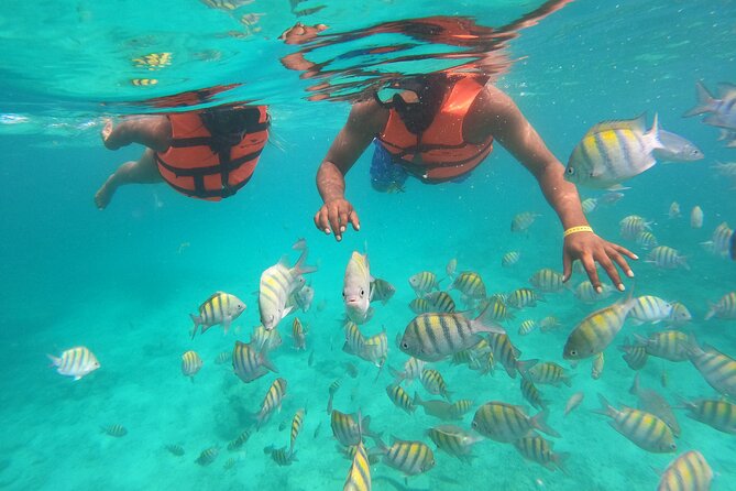 Speedboat Adventure to Snorkeling Spot and Natural Pool - What to bring (and what to expect once you’re on the water)