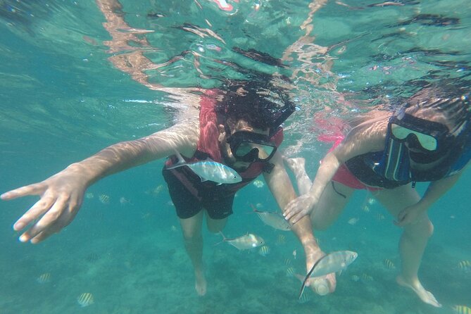 Speedboat Sailing with Snorkeling Experience in Punta Cana - Transfers, pickup quirks, and the store-stop question
