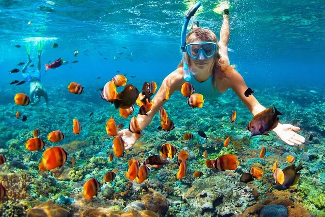 Speedboat & Snorkeling from Punta Cana - Speedboat You Control: What the ride feels like