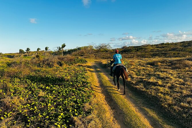 Sunset Horseback Ride at Macao Beach & Forest with Transfers - Sunset Ride Logistics: Time, Transfers, and What 2 Hours Feels Like