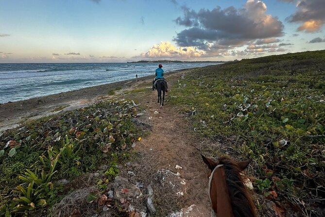 Sunset Horseback Ride at Macao Beach & Forest with Transfers - Stop 2: Rio Maimon River Views Where Freshwater Meets the Sea