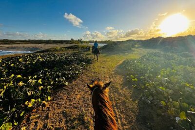 Sunset Horseback Ride at Macao Beach & Forest with Transfers - Stop 1: One Hour Horseback Riding on Macao Beach