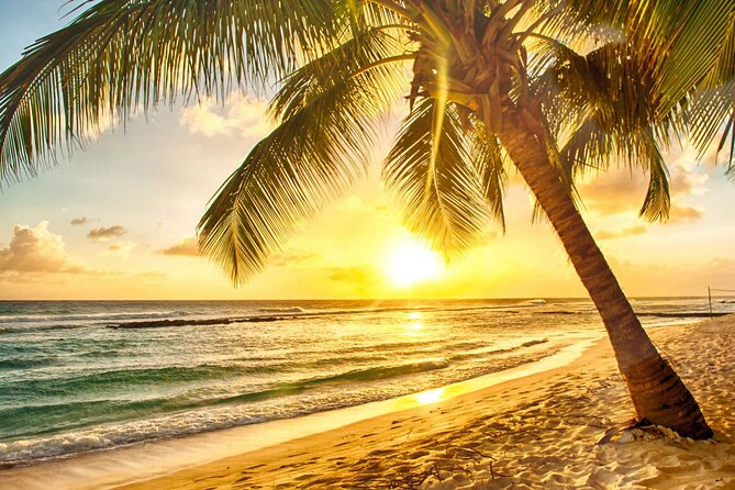 Sunset Horseback Ride at Macao Beach & Forest with Transfers - The World Mart Souvenir Stop: Coffee and Mama Juana Included