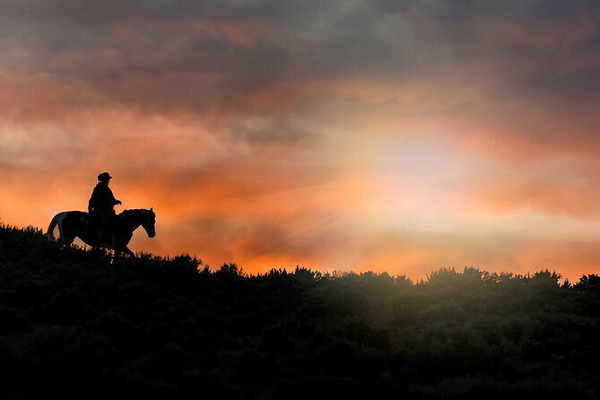 Sunset Horseback Ride at Macao Beach & Forest with Transfers - Who This Sunset Horseback Tour Fits Best