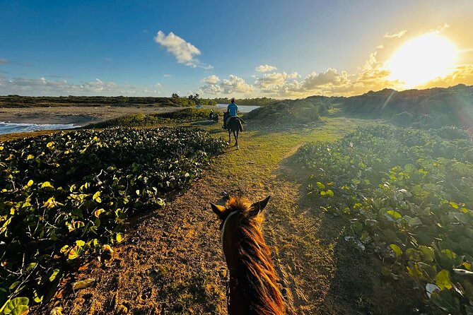 Sunset Horseback Ride at Macao Beach & Forest with Transfers - Stop 1: One Hour Horseback Riding on Macao Beach
