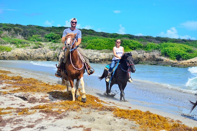 Sunset Horseback Riding Tour in Punta Cana (Private Option) - Horses, safety, and the “how to choose the right speed” part