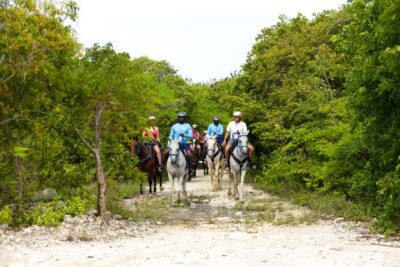 Swim Horse fom Punta Cana - The 4-hour flow: from pickup to mangrove snack