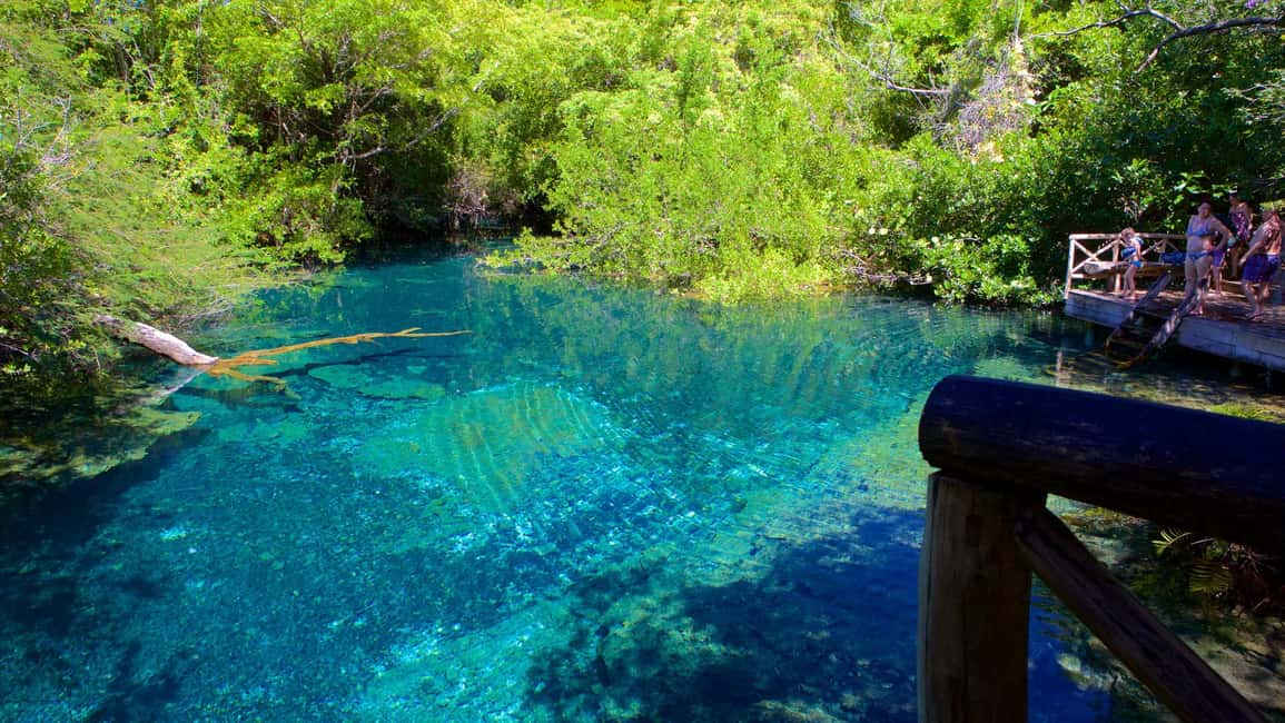 Swim Horse fom Punta Cana - Taíno history in the ecological reserve: why it’s more than trivia