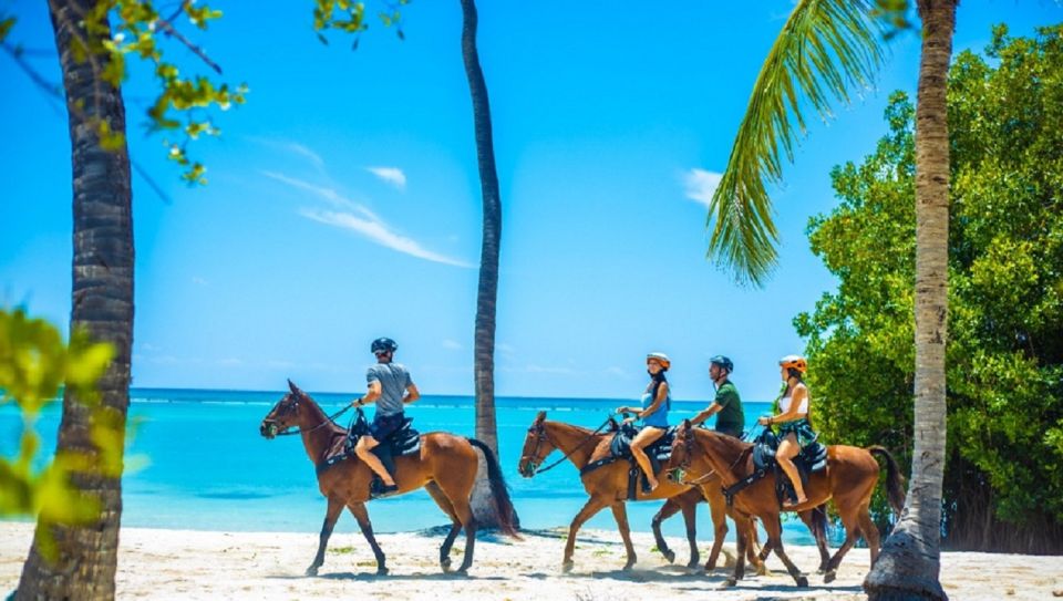 Swim Horse fom Punta Cana - What to bring: pack for water, footing, and sun