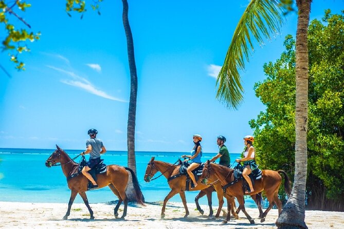 Swimming with Horses at the Beach from Punta Cana Free transportation - Indigenous Eyes Ecological Reserve: Nature Walks and Taino Context