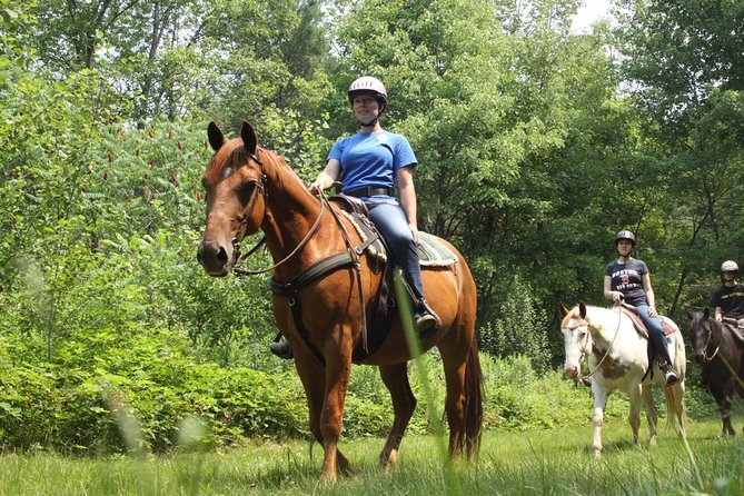 Swimming with Horses at the Beach from Punta Cana Free transportation - Laguna Limón and Rural Village Time: Food and Local Pace