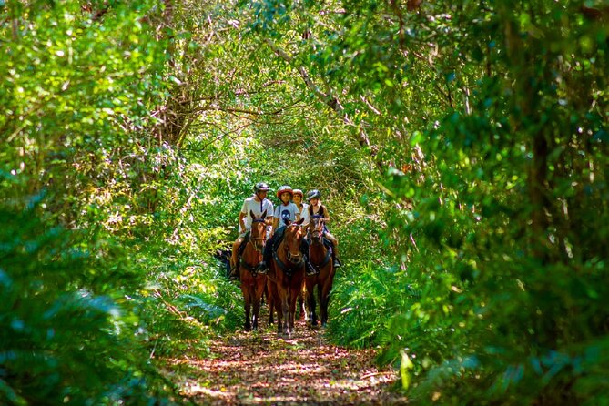 Swimming with Horses at the Beach from Punta Cana Free transportation - Who This Tour Is Perfect For (and Who Should Skip It)