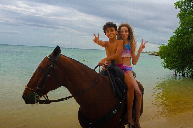 Swimming with Horses at the Beach from Punta Cana Free transportation - A Realistic Schedule: Why the Whole Day Feels Longer Than the Swim