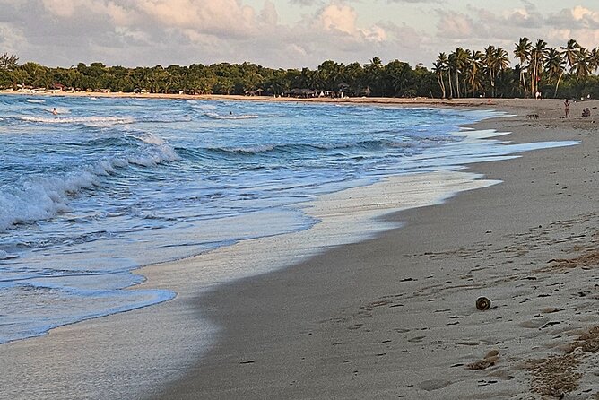 The best buggy/Atv atv punta cana - Ranch to Macao Beach: Riding Toward the River Meeting the Sea