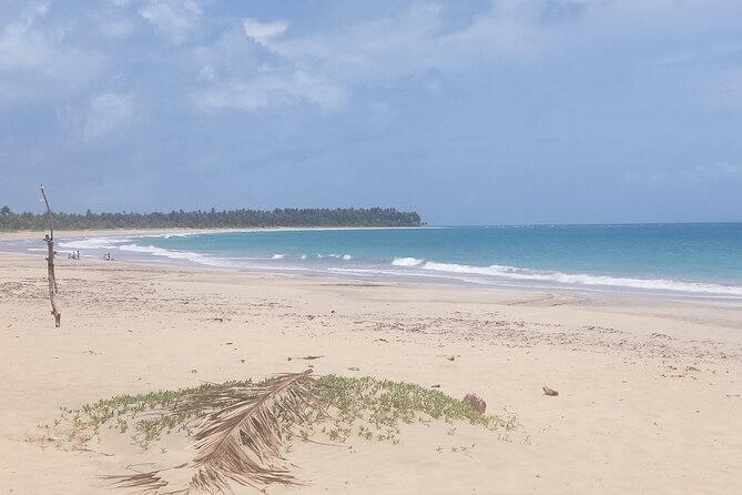Tour to Montana Redonda and Emerald Coast Beach - Playa Esmeralda: a quieter beach with green water and coconut shade