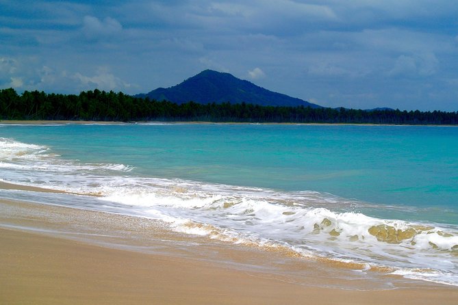 Tour to Montana Redonda (Round Montain) & Costa Esmeralda Beach - Down to the Beach: A Forest Route and a Ranch-Style Setup