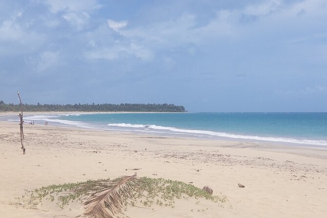 Tour to Montana Redonda (Round Montain) & Costa Esmeralda Beach - Playa Esmeralda Time: Swimming, Photos, and Keeping It Simple
