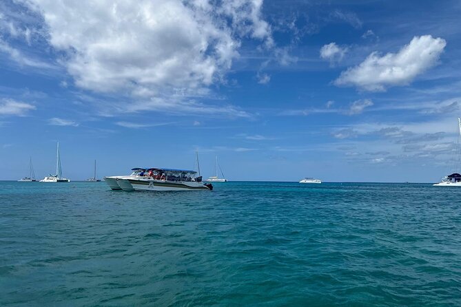 Tour to Saona Island with Lunch and Transportation - Saona Island by boat: what makes this day trip work
