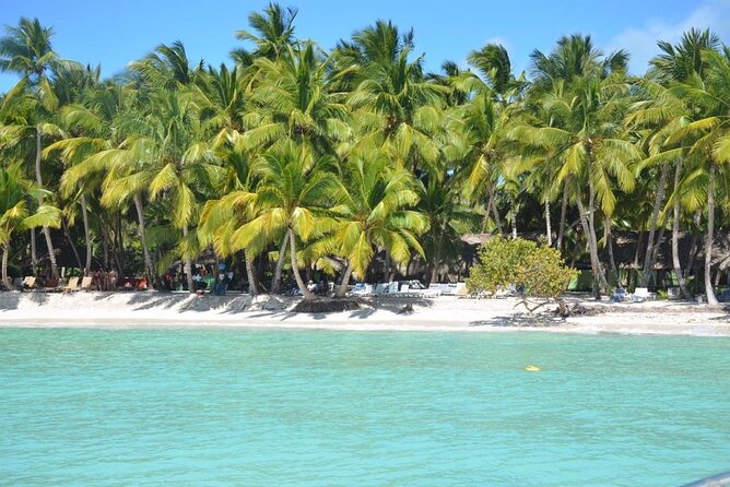 Tour to Saona Island with Lunch and Transportation - The Saona beach experience at Playa Bayahibe