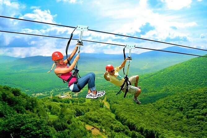 Tours Ziplines Punta Cana - The Big Numbers Behind the Rush