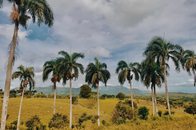 Tropical Escape Tour - The ranch tour and tastings: the food culture piece you’ll remember